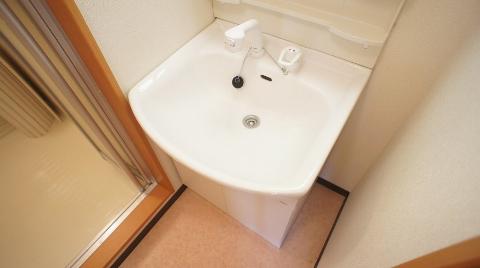 Washroom. Bathroom Vanity