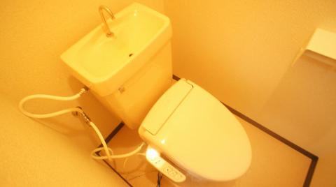 Toilet. Toilet with shower