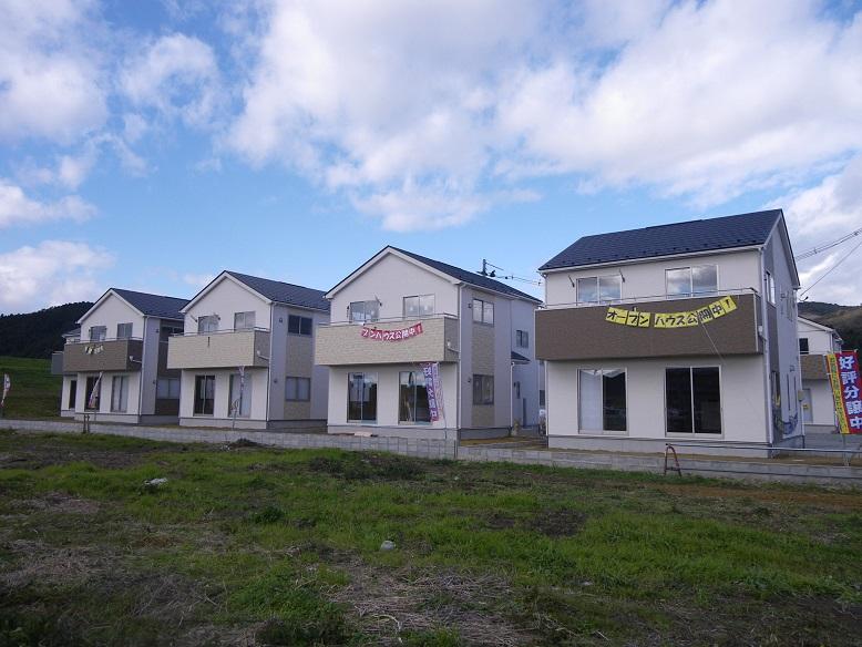 Local appearance photo. 2013 November shooting