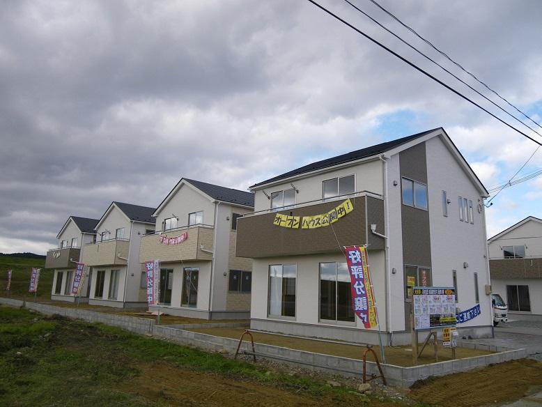 Local appearance photo. 2013 November shooting