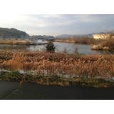 View photos from the local. View from the site (January 2013) Shooting