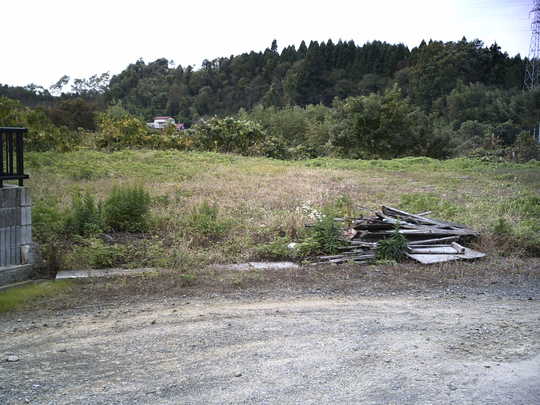 Local land photo