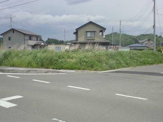 Local land photo