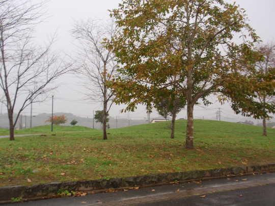 park. 500m Du bridge park to bridge park Mori 6 min. Walk (about 500m)