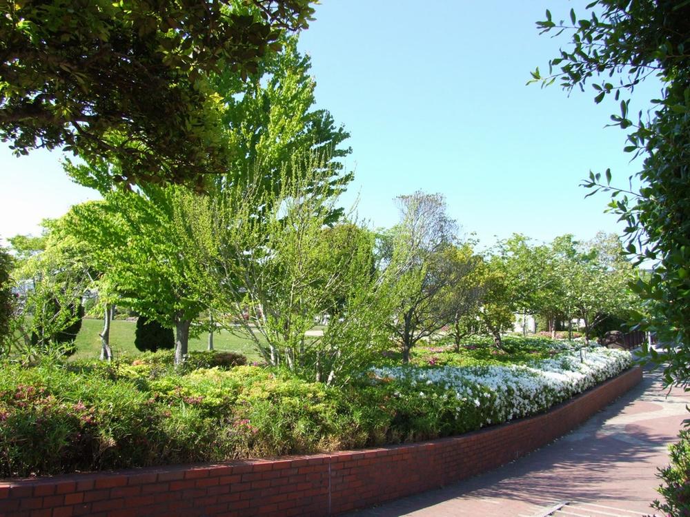 park. Since there to Wakaba park in the Town Guests also children carefree.