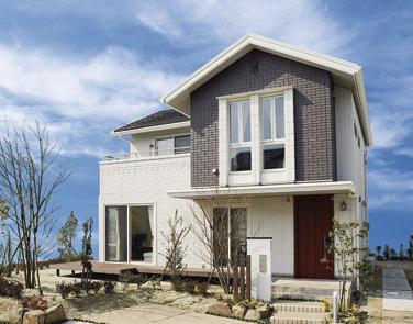 Model house photo. Model house