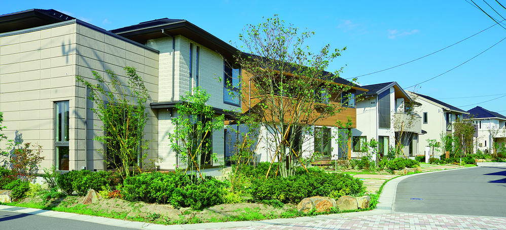 Local photos, including front road