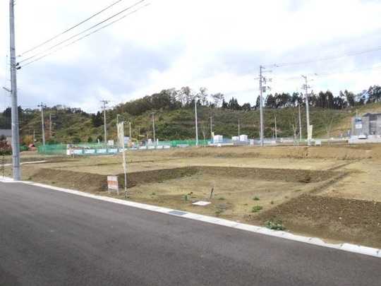 Local land photo