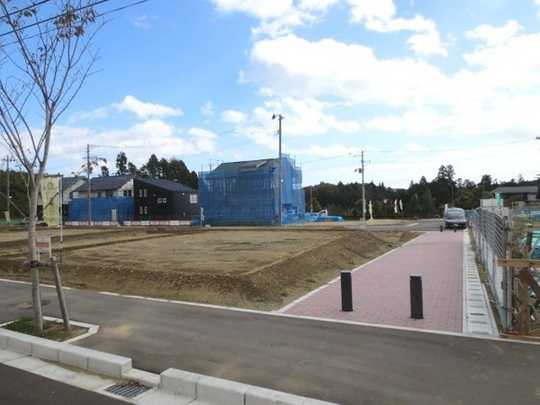 Local land photo
