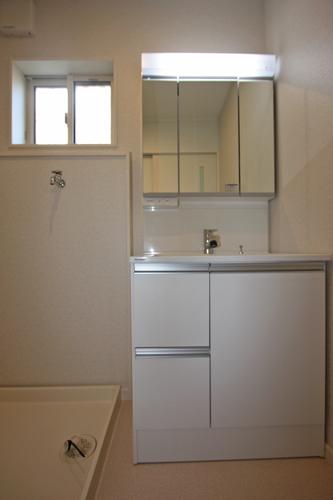 Wash basin, toilet. Bathroom vanity