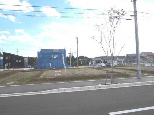 Local land photo