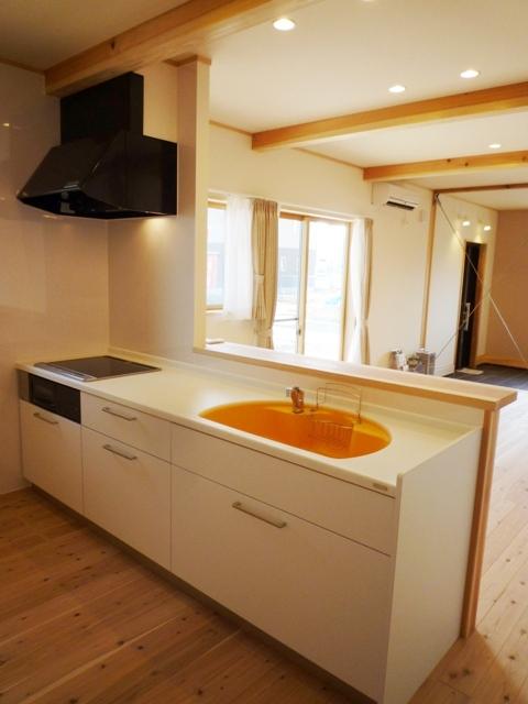 Kitchen. Yamaha Human large counter IH cooking heater