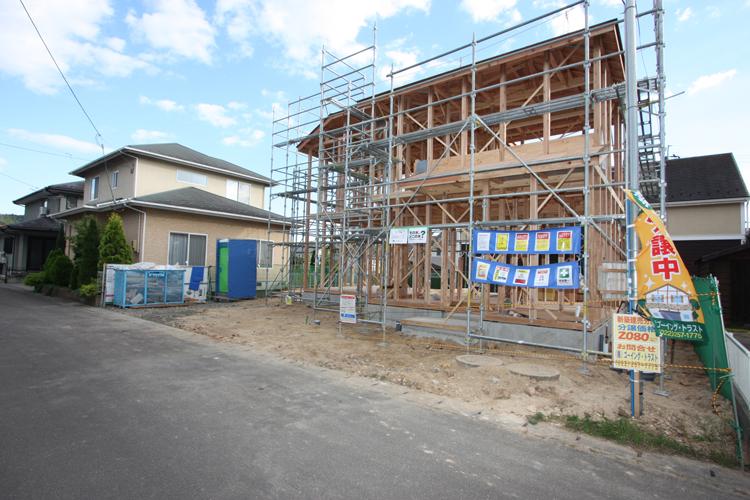 Local photos, including front road. Local (10 May 2013) Shooting