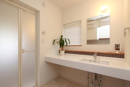 Wash basin, toilet.  [2-10-11] One that was standing in the world, Bathroom vanity. Vanity of simple design of the wide size