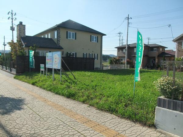 Local land photo. 1-15-13 ethyl