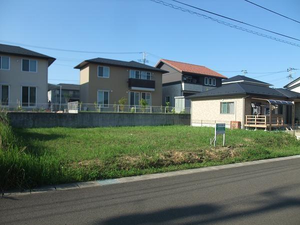 Local photos, including front road. 2-9-20 ethyl