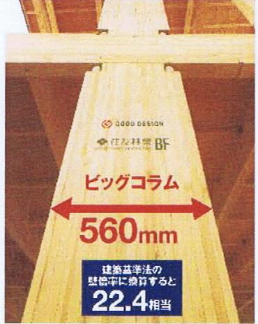 Other. Big column conceptual diagram