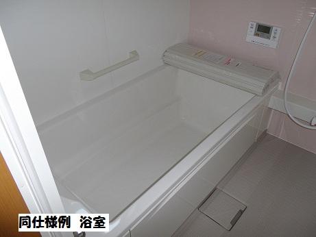Same specifications photo (bathroom)