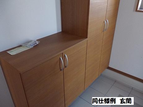 Same specifications photos (Other introspection)