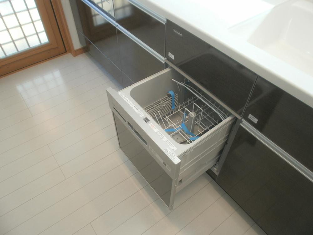 Other introspection. Dishwasher (November 2013) Shooting