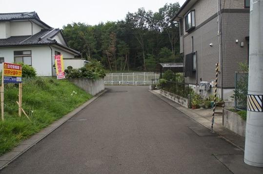 Local photos, including front road. Frontal road