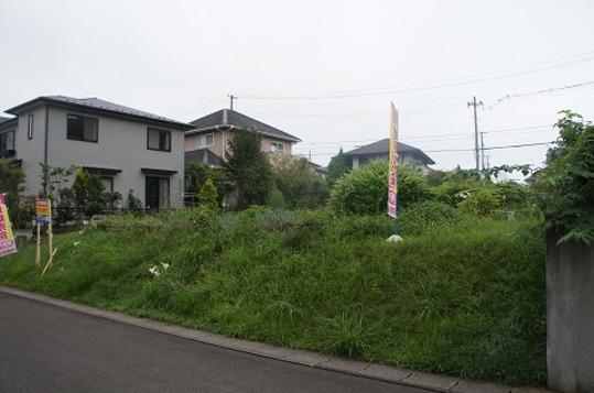 Local land photo. Local Photo 1