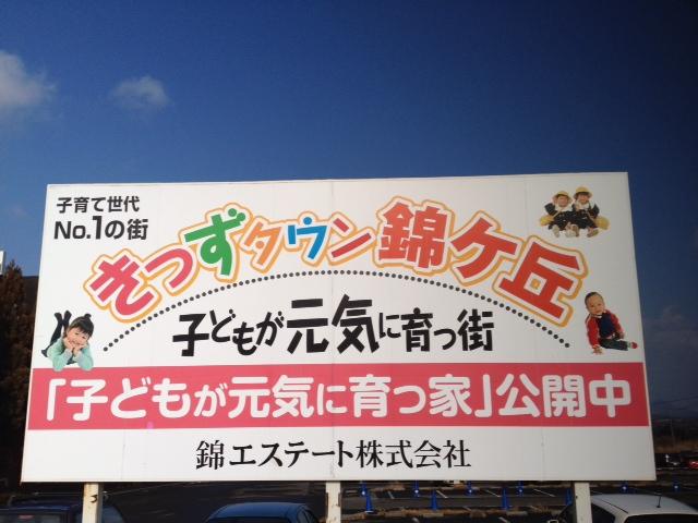 Other. It is to local but we have your induction in the induction billboards and banners, When you have any questions please contact us.