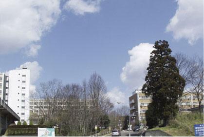 Other Environmental Photo. About 6 minutes in the 2000m car to Tohoku University Aobayama campus