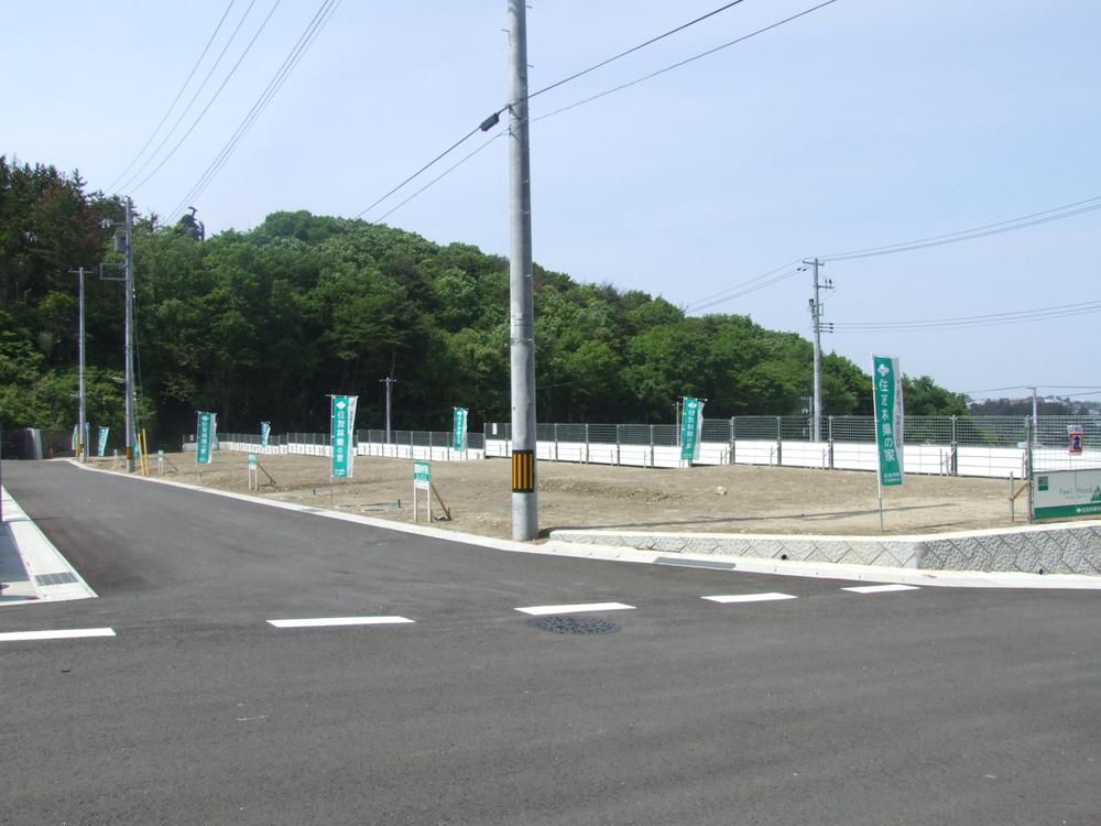 Local photos, including front road. Local (05 May 2012) shooting