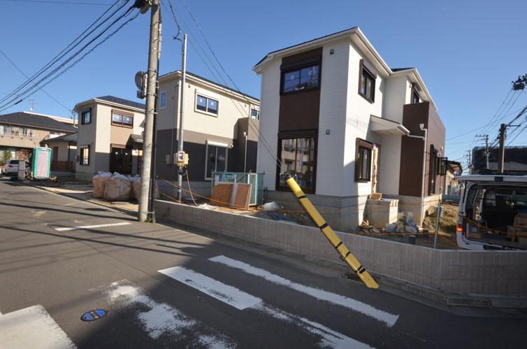 Local photos, including front road. November 9 days now