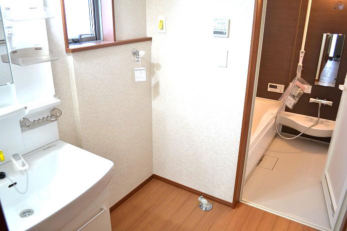 Wash basin, toilet. Same specifications construction case