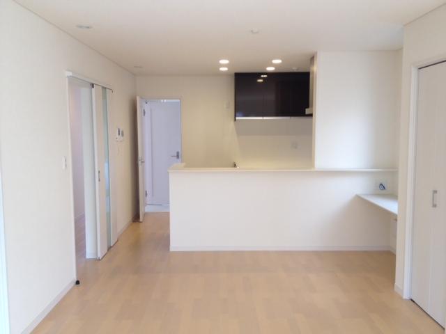 Living. Room (May 2013) Shooting