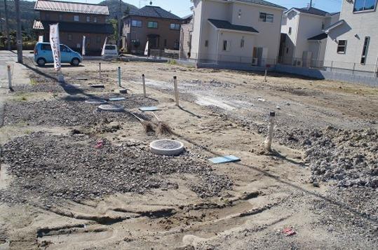 Other local. Local Photos