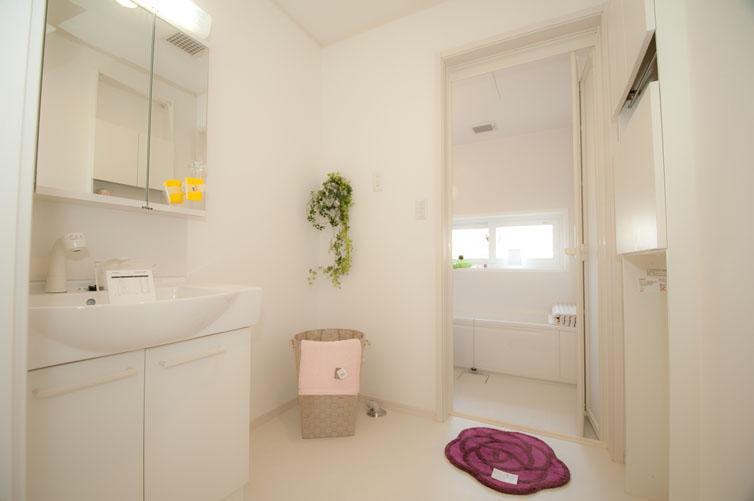 Wash basin, toilet. Example of construction