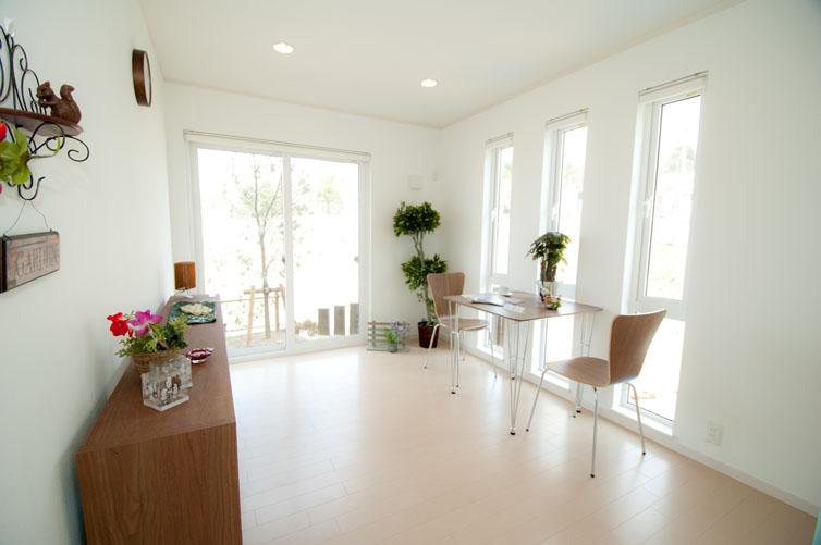 Non-living room. Example of construction Color is select possible