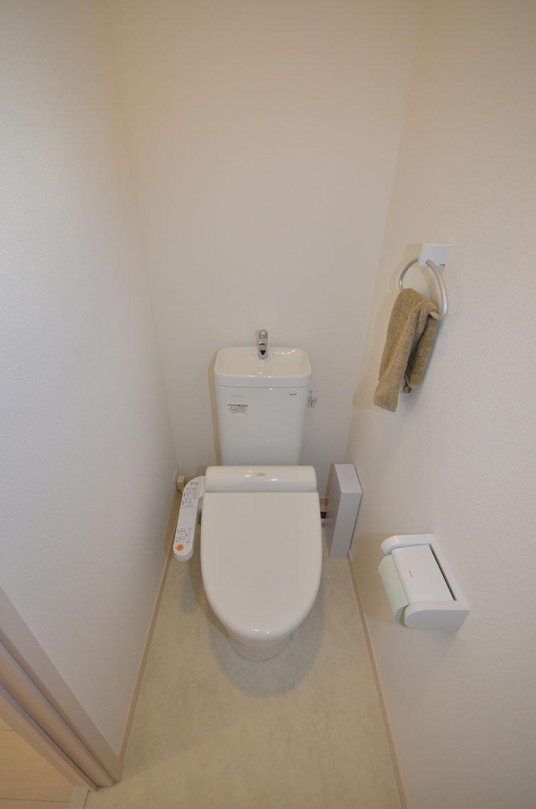 Toilet. Example of construction Color is select possible