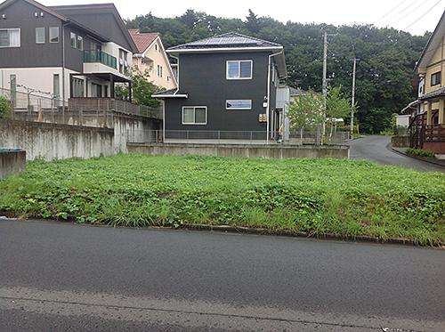 Local land photo. Preeminent environmental goodness. Popular corner lot!