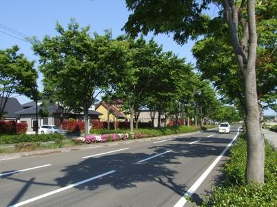 Sale already cityscape photo. Sale already the city average