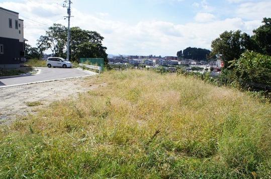 Local photos, including front road. Local land Photo 4