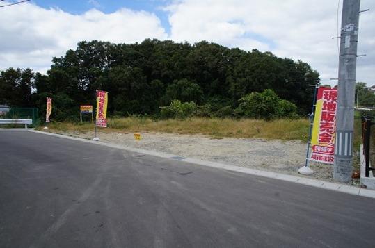 Local land photo. Local Photo 1