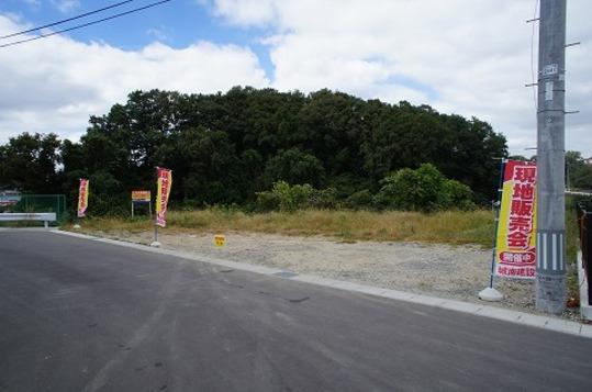 Local land photo. Local Photo 2