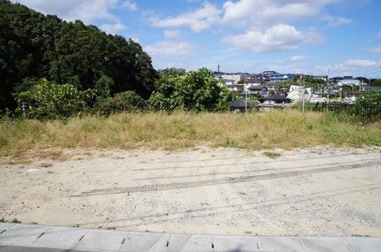 Local land photo. Local land Photo 3