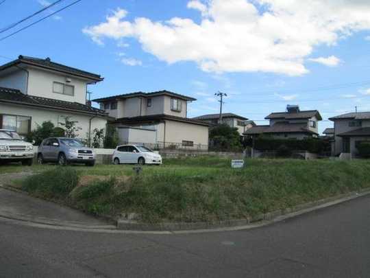 Local land photo. Local Photos (1)