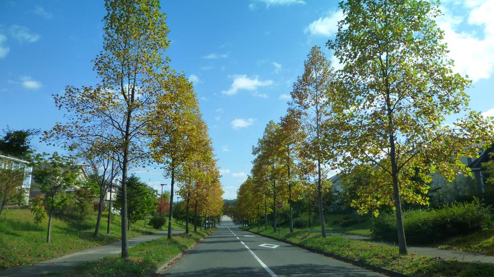 Other. ☆ Neighborhood road ☆