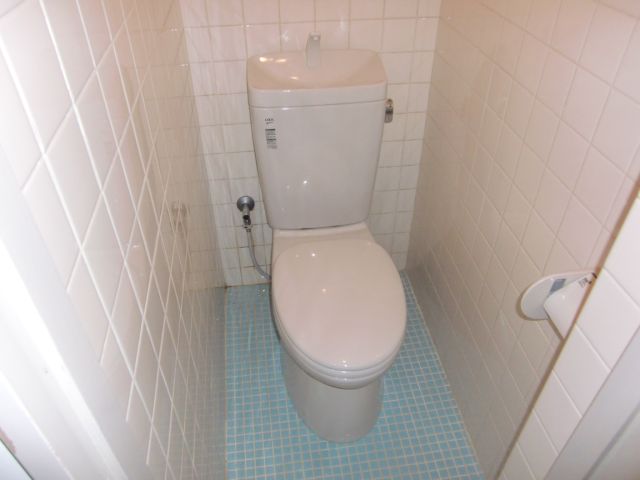 Toilet. It was new