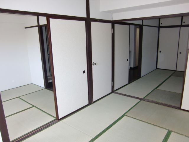 Living and room. Tatami was re-covered