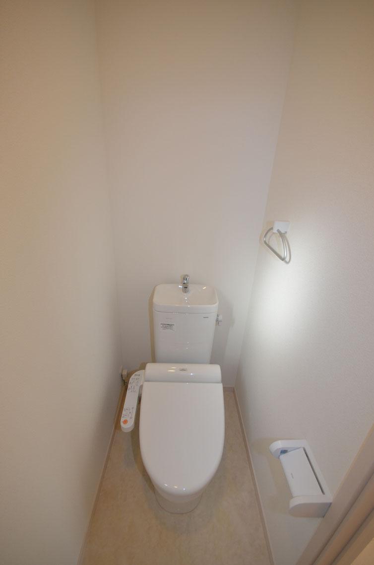 Toilet. Color is select possible