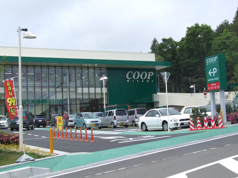 Supermarket. 1160m until Miyagi Coop Yagiyama shop