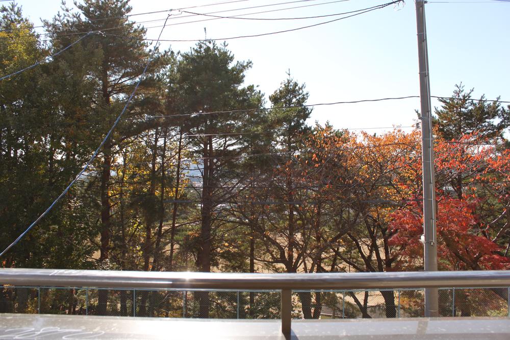 Balcony. Good per sun in south road