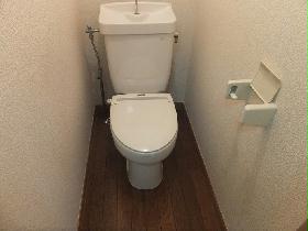 Toilet. Intimate space.